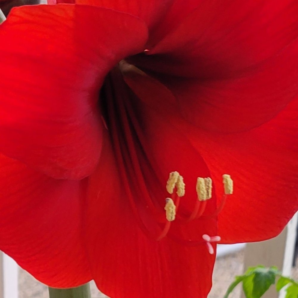 Meet your Posher, @shopas